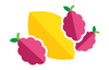 Raspberry Lemonade flavor icon