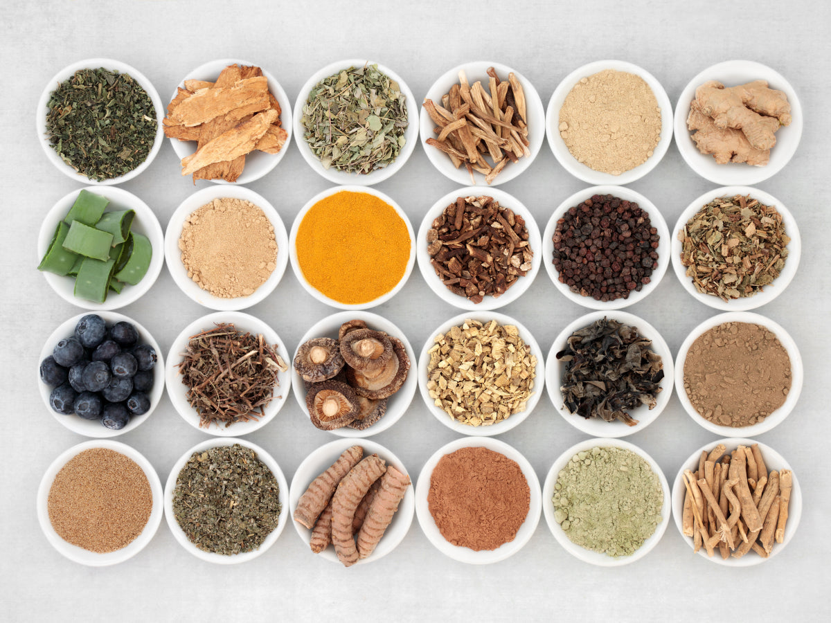 But Seriously, What Are Adaptogens?