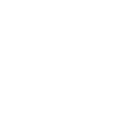 An illustration of a mobile phone.