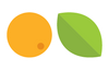 Citrus Fruit option