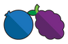 Wild Berry + Caffeine flavor icon
