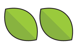 Fresh Lime option